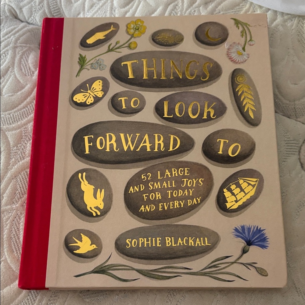Things to Look Forward To Book by Sophie Blackall Excellent Condition